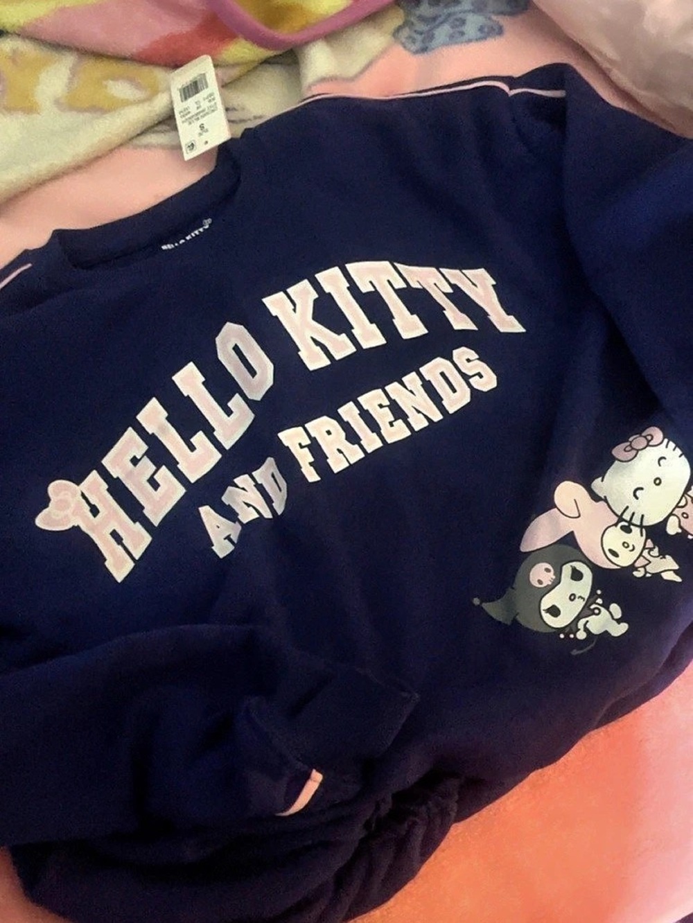 Sanrio Hello Kitty and Friends Cropped Sweatshirt Womens Small Blue & Pink